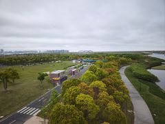 -春花秋色城市公园