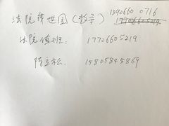金桔柠檬-白日梦奶茶
