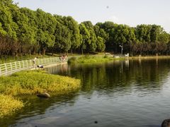 -美兰湖景区