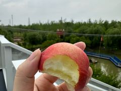 -大队长大灶鹅
