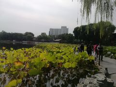 -郭守敬纪念馆