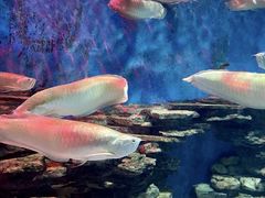 -多彩贵州城极地海洋世界