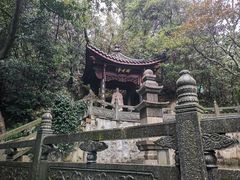 -十八棵（老龙井）御茶园(老龙井店)