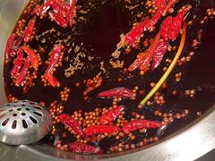 -李掌柜鲜菜火锅(移民广场店)