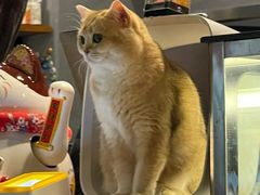 -咖法森林·咖啡  酒吧(天河店)