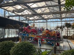 -南宫五洲植物乐园