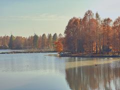 -上海海湾国家森林公园