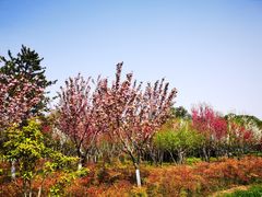 -洨河生态公园