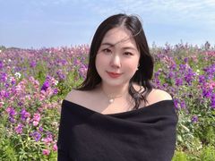 -空港花田景区