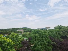-上海佘山世茂艾美酒店