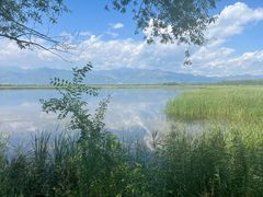 -野鸭湖国家湿地公园