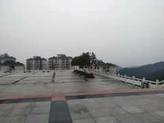 -铁山坪森林公园