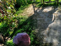 -武清南湖绿博园