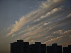 -上海神旺大酒店