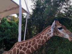 -泉州海丝野生动物世界