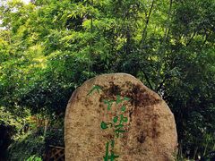 -旅马餐厅(茅家埠店)