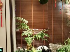 -董家大院·京味家常菜(朝丰家园店)