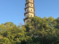 -江心屿景区