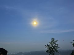 -长虫山生态公园风景林