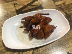-东鸽皇(奥园·中环广场店)