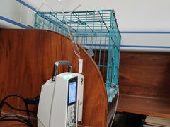 -美联众合动物医院·伴可分院·内科中心医院