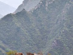 -圣莲山风景区