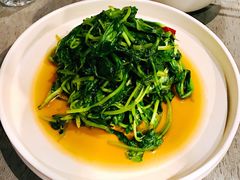 炝炒鸡毛菜-日上三甘(三里屯店)