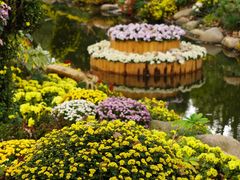 -上海共青森林公园