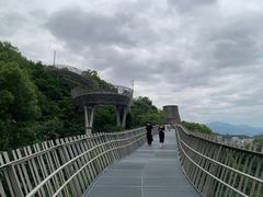 -福道