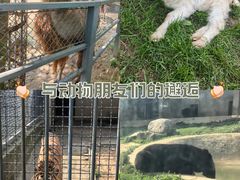 -上方山森林动物世界