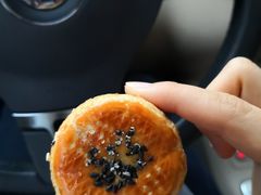 -卡吉诺动物奶油生日蛋糕(蓝堡湾店)