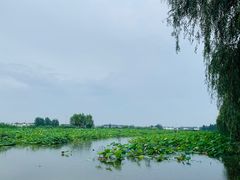 -小小河边鱼(天润城店)
