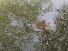 -河北省园博园