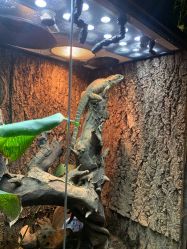 -酷嗒动物文化乐园(cutezoo西溪乐天城店)