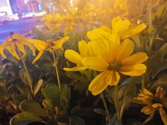 -雷门拉面·现熬骨汤(凯德来福士店)