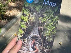 -墨尔本皇家植物园