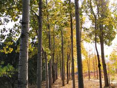 -中关村生命科学园