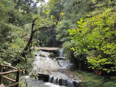 -碧峰峡风景区