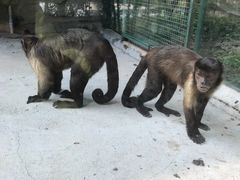 -泉州海丝野生动物世界