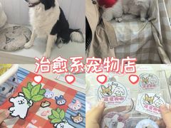 -汪说·狗咖·拼豆·宠物周边DIY(旺城大厦店)