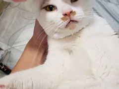 -西关老字号钵仔糕(上下九宝华路店)