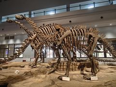 -自贡恐龙博物馆