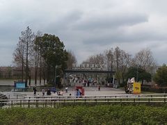 -洋湖国家湿地公园