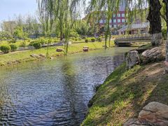 -长春公园(普阳街道)