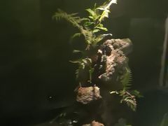 -泰之源足浴会所(玉环店)