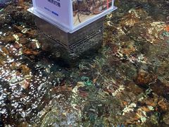 -盒马鲜生(枣园路店)
