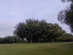 -南宁南湖公园