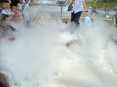 -陕西自然博物馆