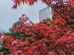 -后襄河公园