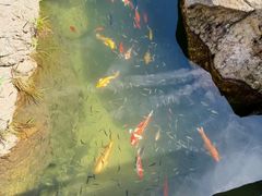 -九龙池景区